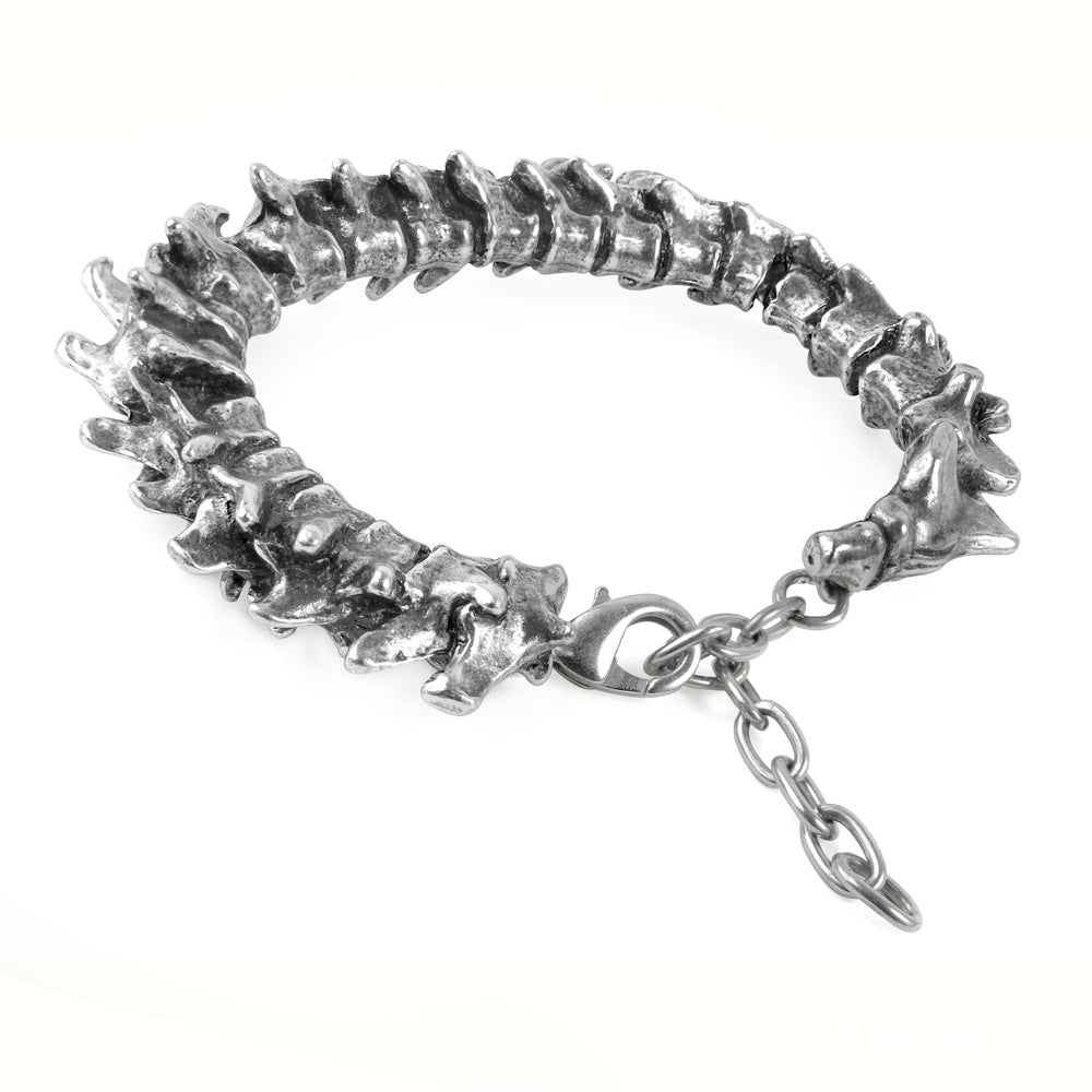 Vertebrae Bracelet Alchemy Gothic Mens Chain Bracelet